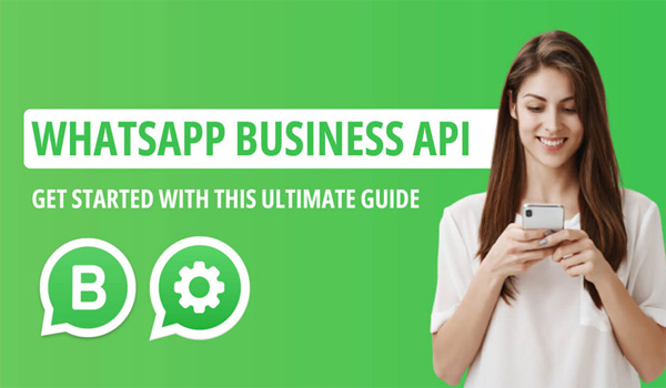 Website Design Company India